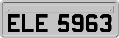ELE5963