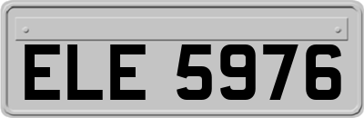 ELE5976