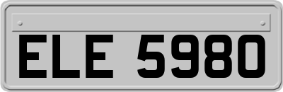ELE5980