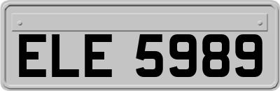 ELE5989