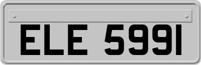 ELE5991