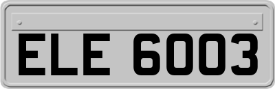 ELE6003