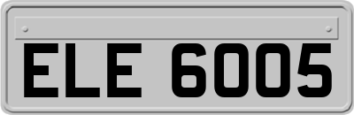 ELE6005