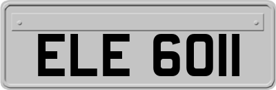 ELE6011