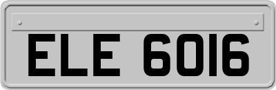 ELE6016