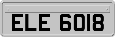 ELE6018