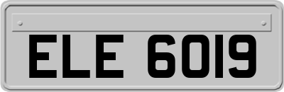 ELE6019