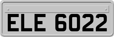 ELE6022