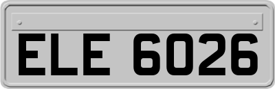 ELE6026