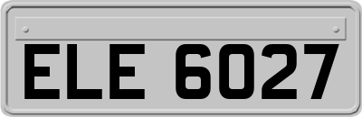 ELE6027