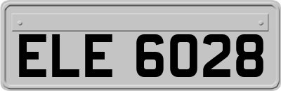 ELE6028
