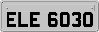 ELE6030