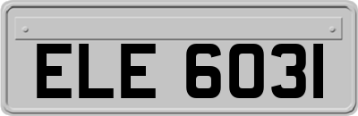ELE6031