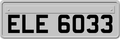 ELE6033