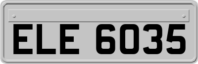 ELE6035