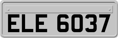 ELE6037