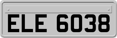 ELE6038