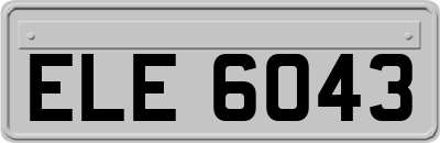 ELE6043