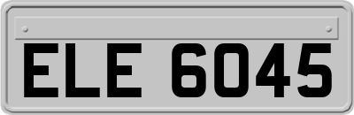 ELE6045