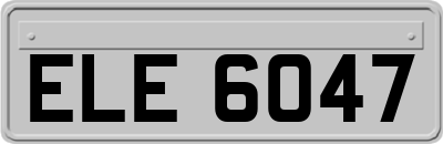 ELE6047