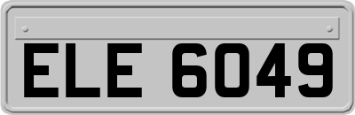 ELE6049