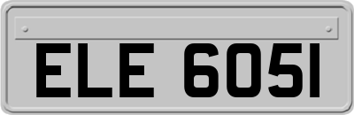 ELE6051