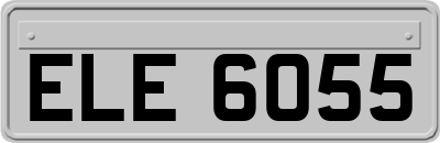 ELE6055