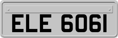 ELE6061