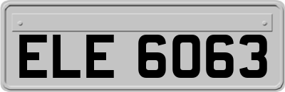 ELE6063