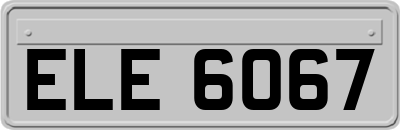 ELE6067