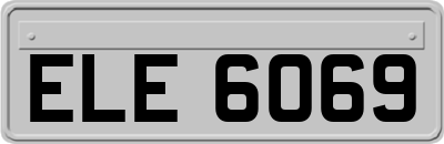 ELE6069