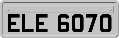 ELE6070