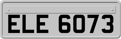 ELE6073
