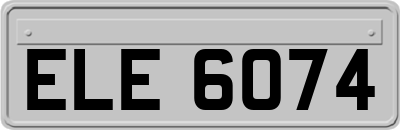 ELE6074