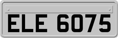 ELE6075