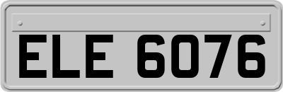 ELE6076