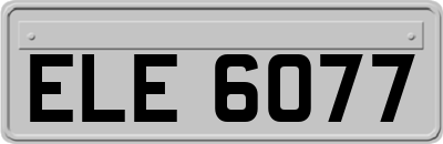 ELE6077