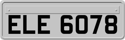 ELE6078