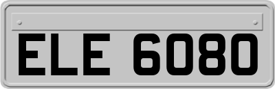 ELE6080
