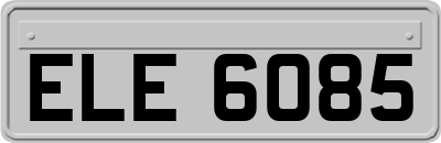 ELE6085