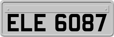 ELE6087