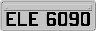 ELE6090