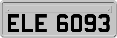 ELE6093