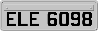ELE6098