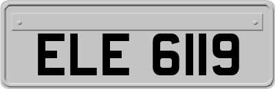 ELE6119