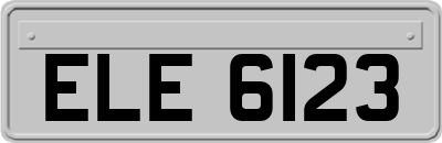 ELE6123