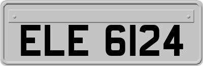 ELE6124