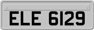 ELE6129