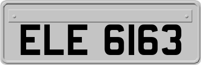 ELE6163
