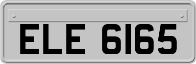 ELE6165